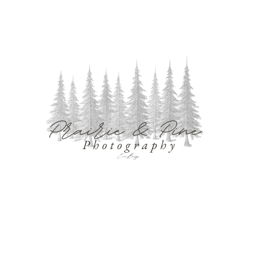 Prairie And Pine Photography
