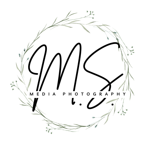 M.S.Media