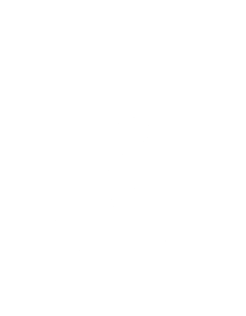 JASMINE BERLINER PHOTOGRAPHY