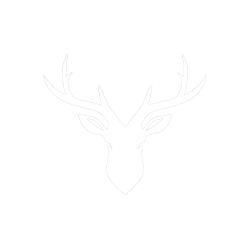 KBP