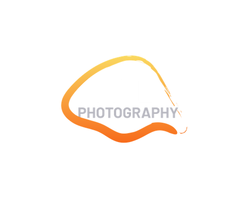 Paul J Photography