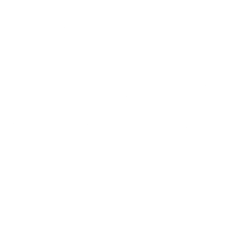 Zamfir Elena