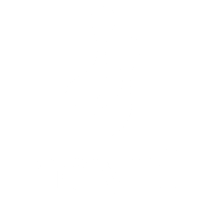Hayni