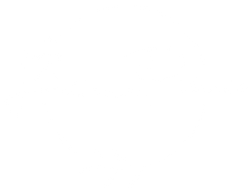 Liliana Plácido Fotografia
