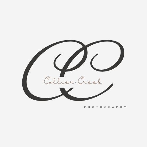 Collier Creek Photography