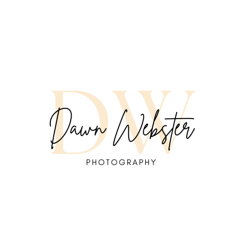 Dawn Webster Photography
