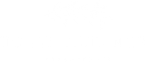 Holly Dehlinger Photography