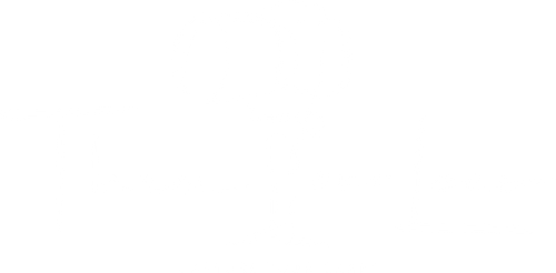 Thru Your Lens, LLC