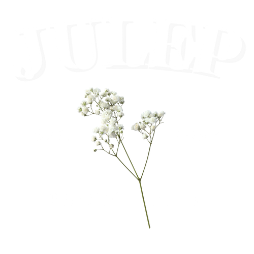Julep Photo & Film