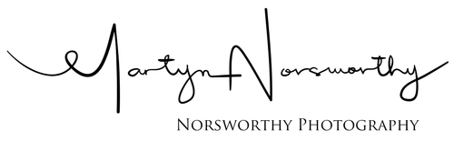 site-logo