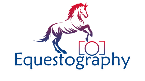 Equestography