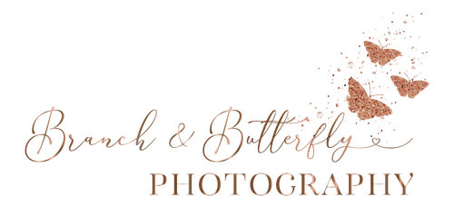 Branch & Butterfly Photography