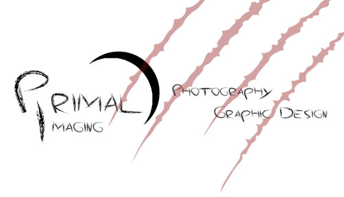 Primal Imaging