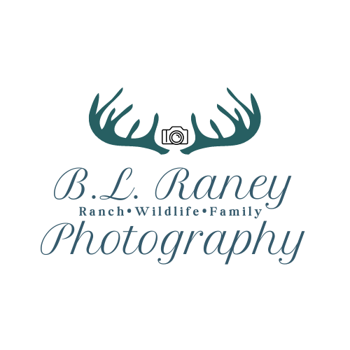 BL Raney Photography