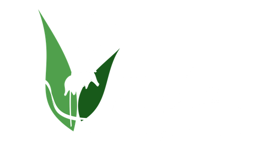 site-logo