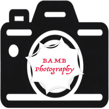 site-logo