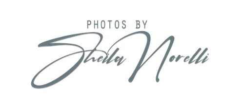 Photos by Sheila Norelli