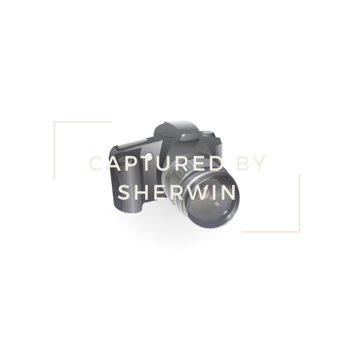 Captured By Sherwin