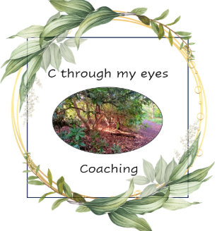 C through my eyes Coaching
