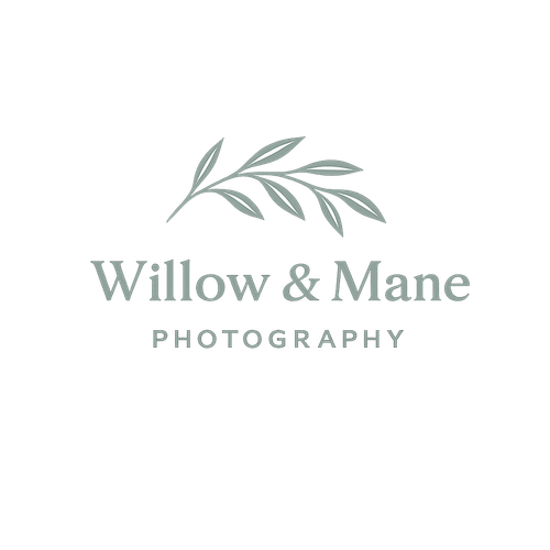 Willow & Mane Photography at Fries Mill Farm