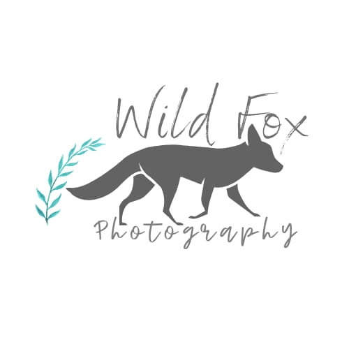 Wild Fox Photography
