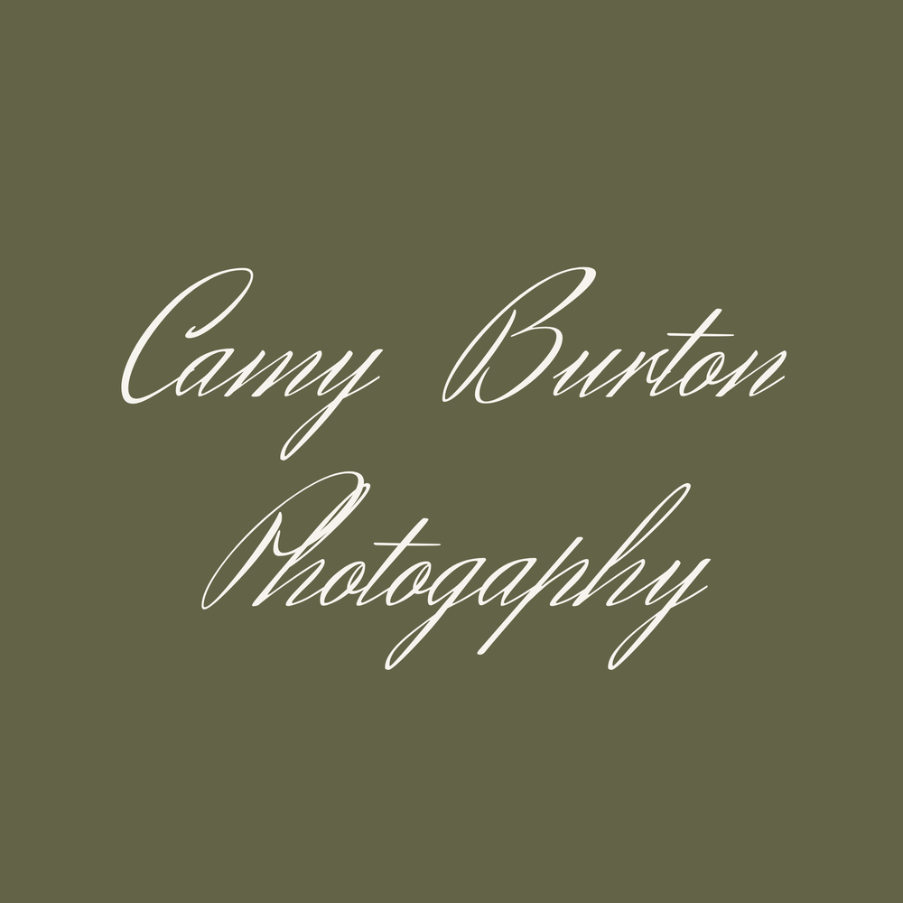 site-logo
