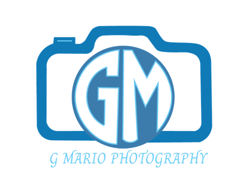site-logo