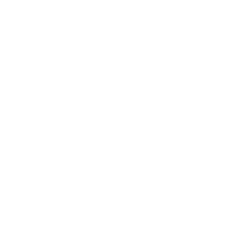 Linnea Photography