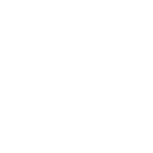 AeroPortrait Media