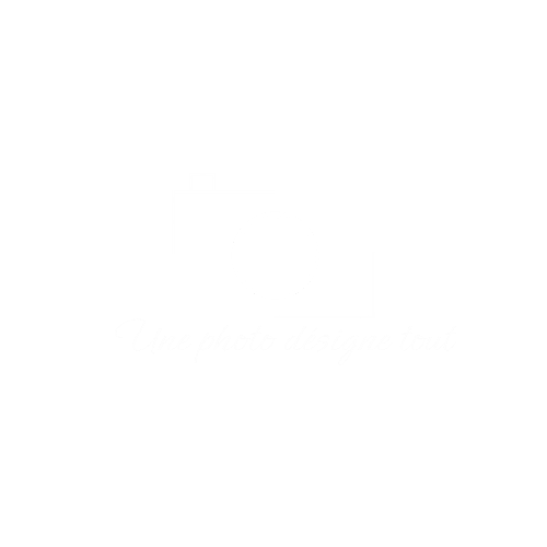 Une photo désigne tout