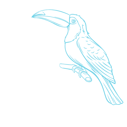 Blubird Photography