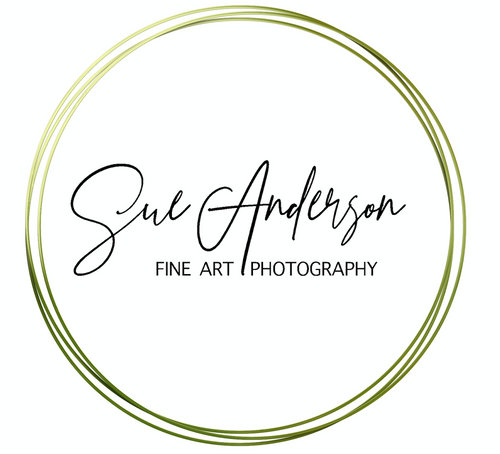 Sue Anderson  Photography & Fine Art