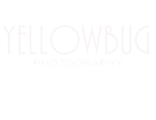 YellowBug Photography