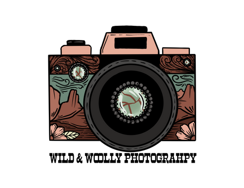 Wild & Woolly Photography