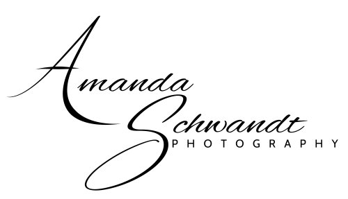 Amanda Schwandt Photography