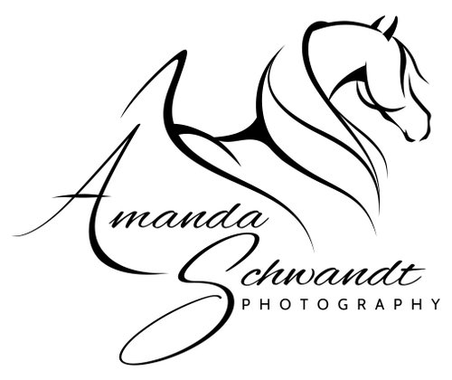 Amanda Schwandt Photography