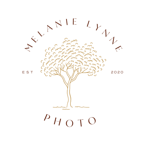 site-logo