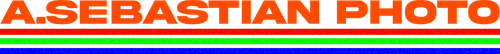 site-logo