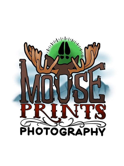 Moose Prints Photography