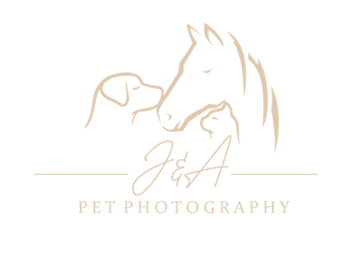 J&A Pet Photography