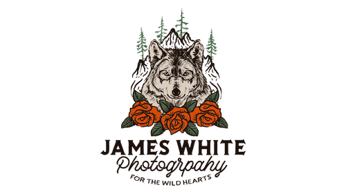 site-logo