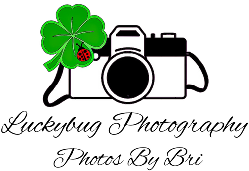 LuckyBug Photography