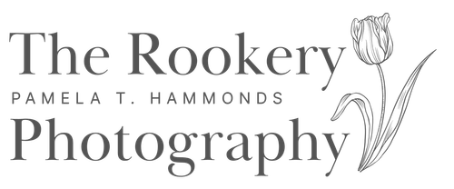 The Rookery Photography
