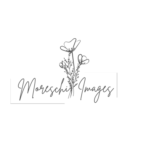 Moreschi Images