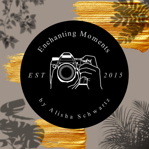 Enchanting Moments by Alisha Schwartz