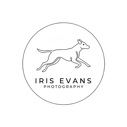 site-logo