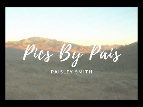 Pics By Pais