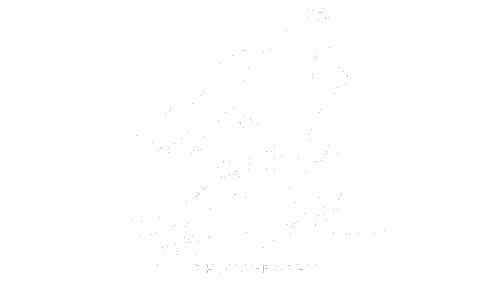Capture The Wild Photography