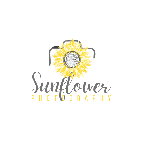 Sunflower Photography