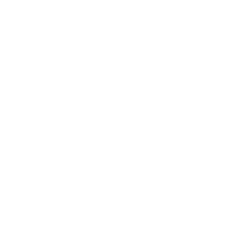 Lens Art